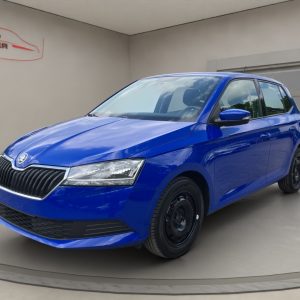 Skoda Fabia Cool Plus 1.0 MPI, Klimaanlage, MP3, energy-blau
