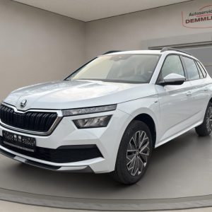 Skoda Kamiq Clever,LED,Climatronic,Tempomat,Sitzheizung,PDC, moon-weiss metallic