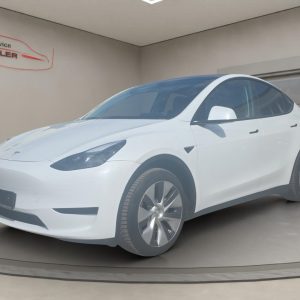 Tesla Model Y LED, Navi, Rückfahrkamera, Leder, weiss