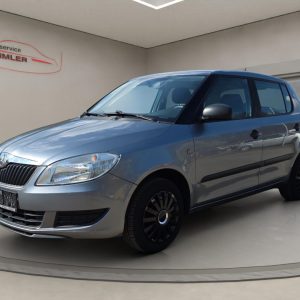 Skoda Fabia Cool Edition 1.4, Klima, Rückfahrkamera, platin-grau metallic